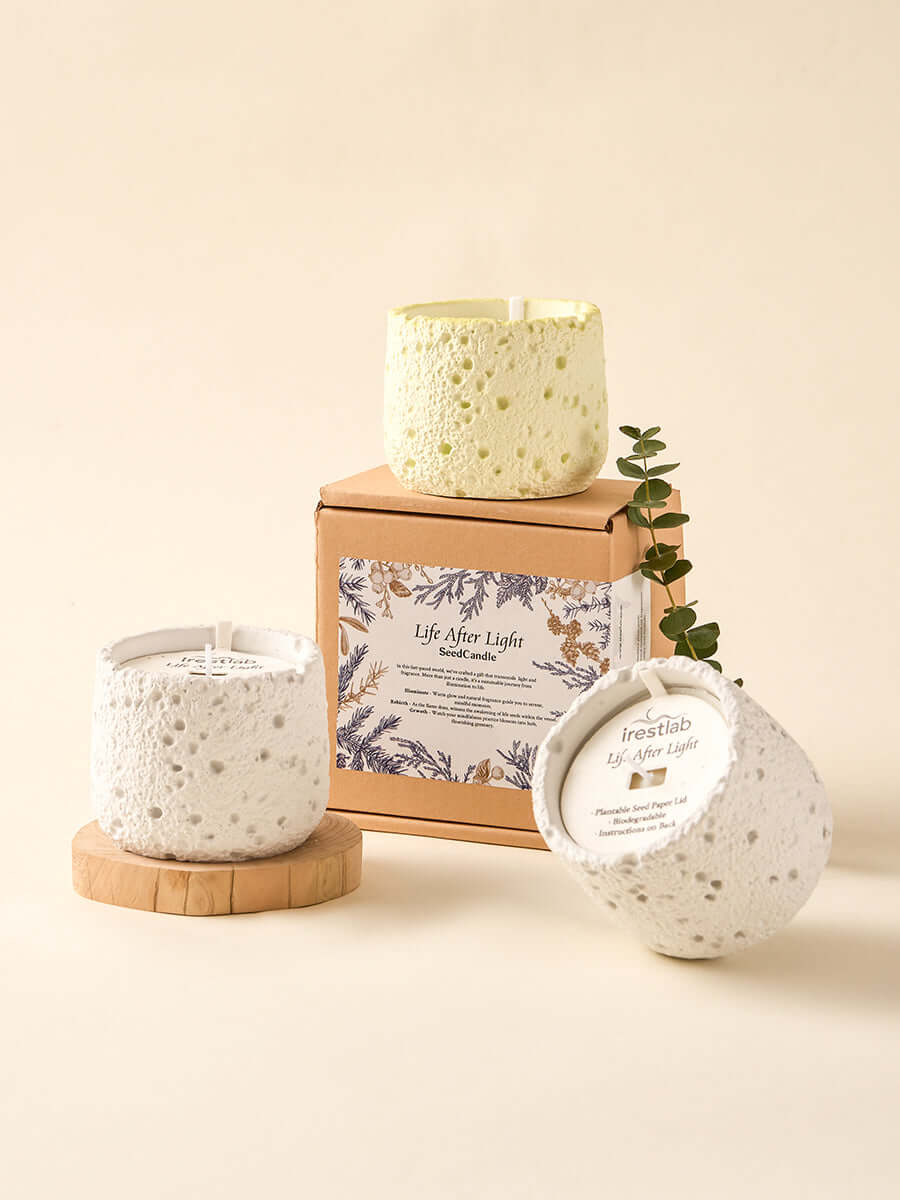 Eco-friendly Seed Candle set on a wooden stand, with textured holders and a lush green plant nearby.